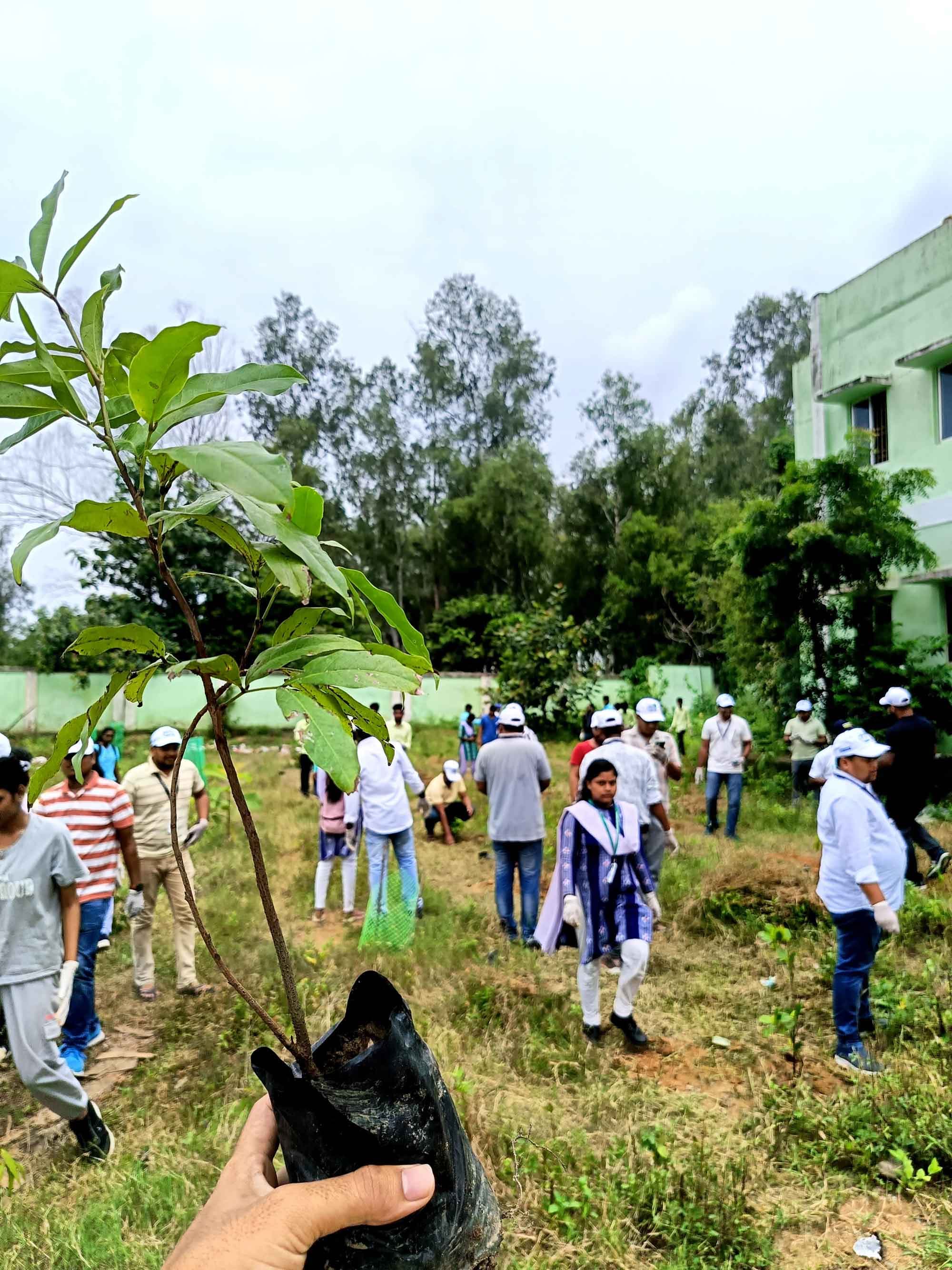 Volunteer holding a sapling during a corporate-partnered plantation drive