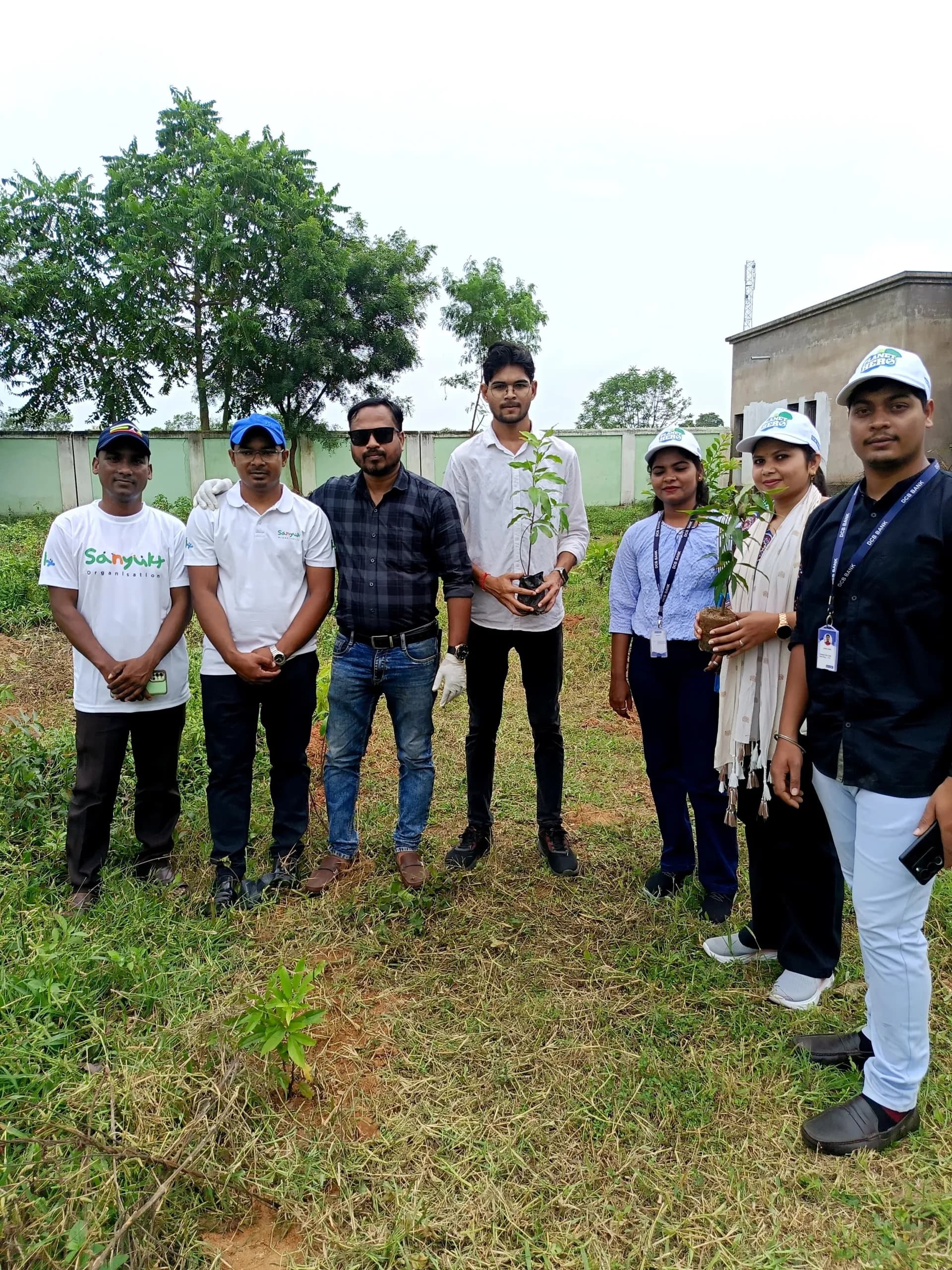 Corporate volunteers planting saplings with the Sanyukt team